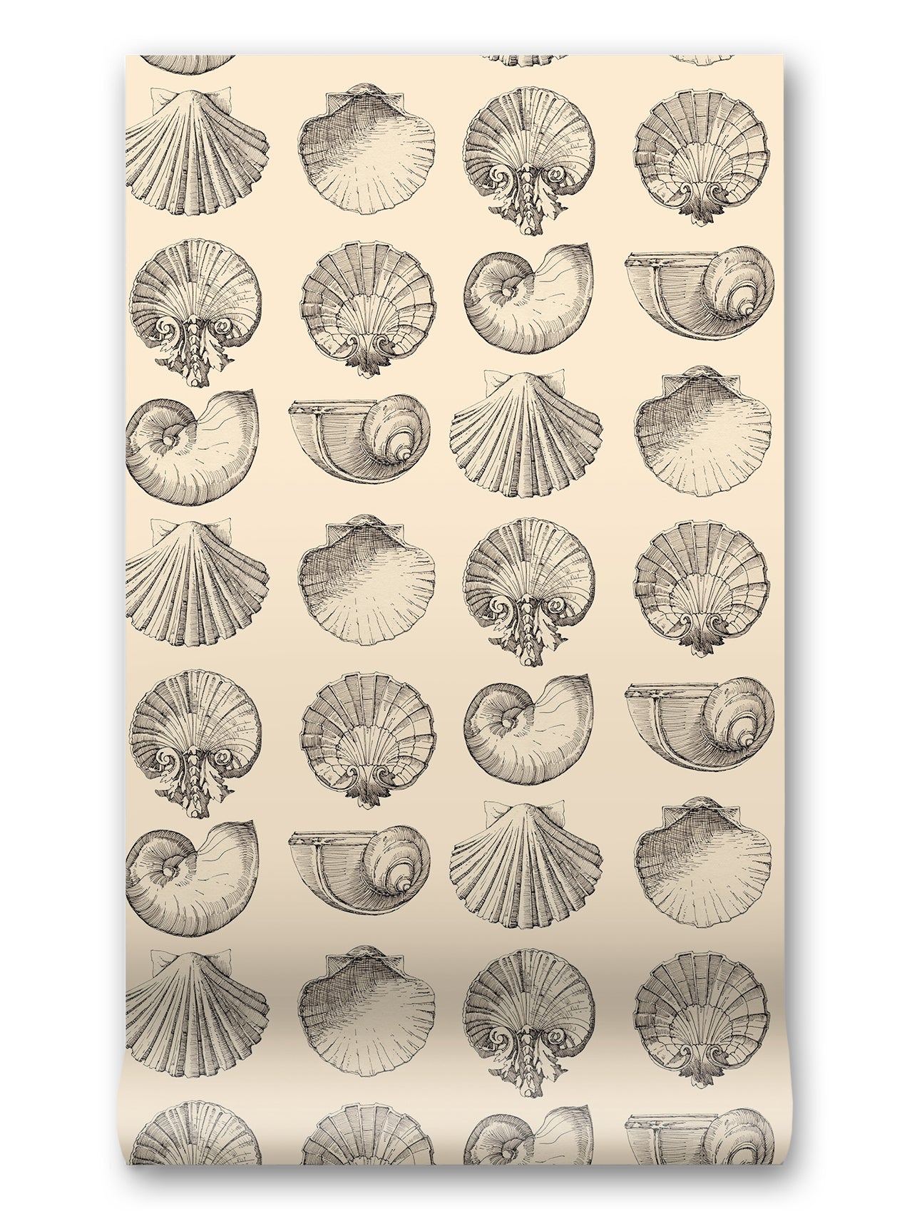 Salvador Wallpaper in Sun Kiss by Papier, third view