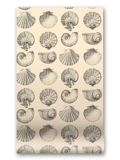 Salvador Wallpaper in Sun Kiss by Papier, third view