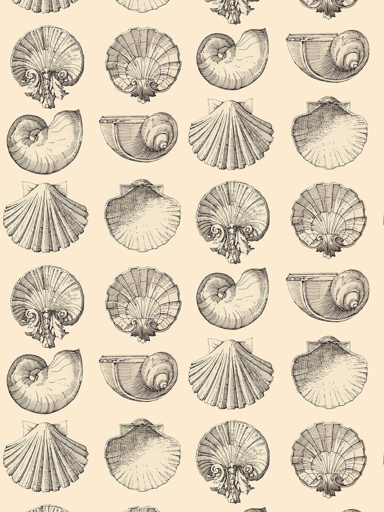 Salvador Wallpaper in Sun Kiss by Papier