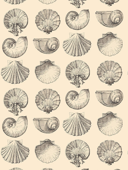 Salvador Wallpaper in Sun Kiss by Papier