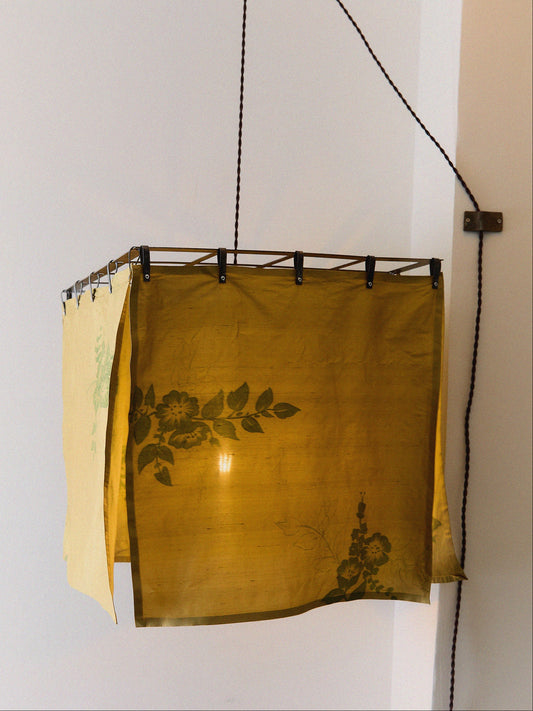 Loquat Pendant Pendant Lights