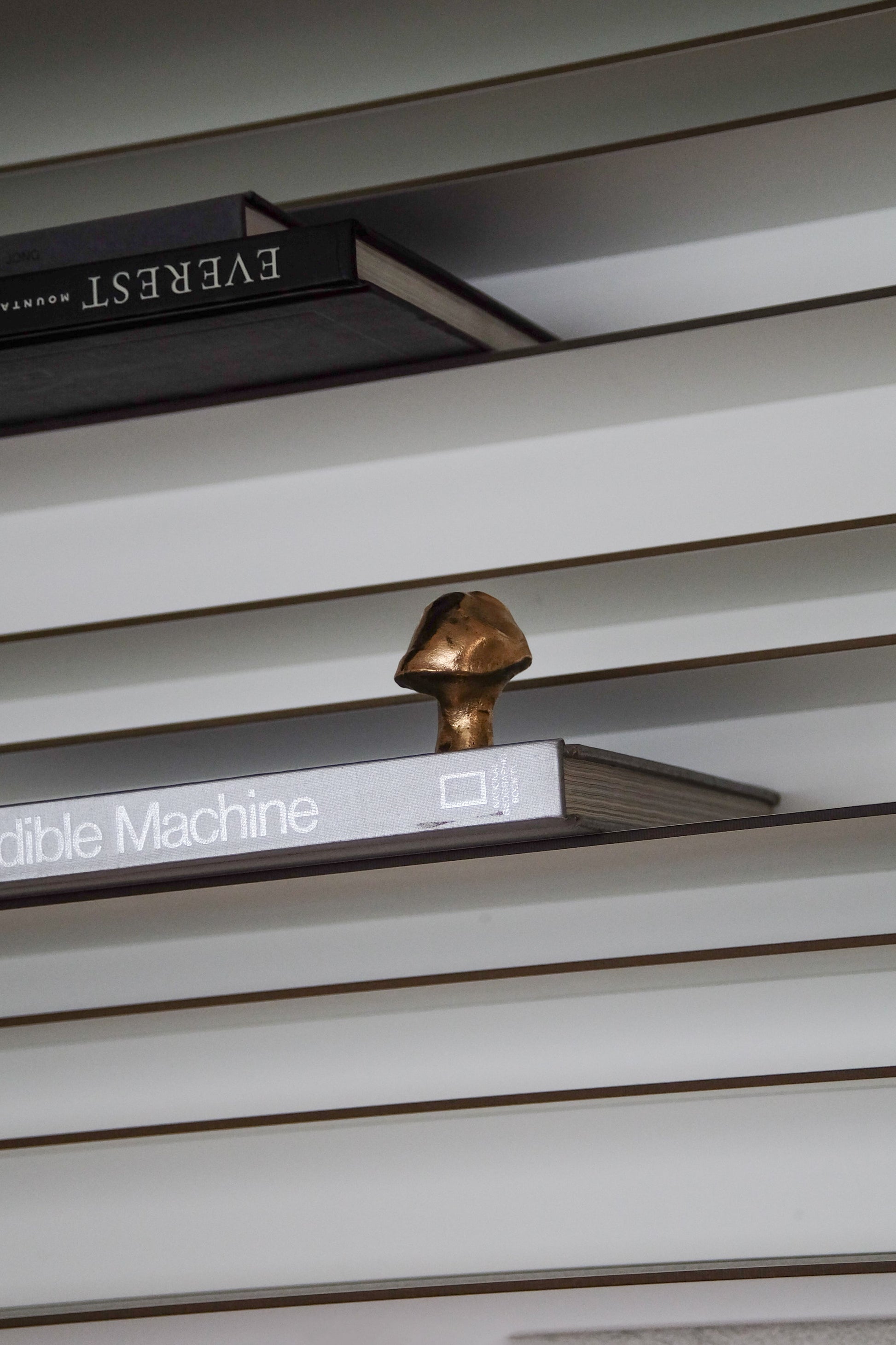 Moore Knob/Hook Hardware