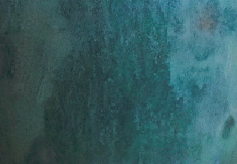 Vy Voi Glaze - Moss with Lichen