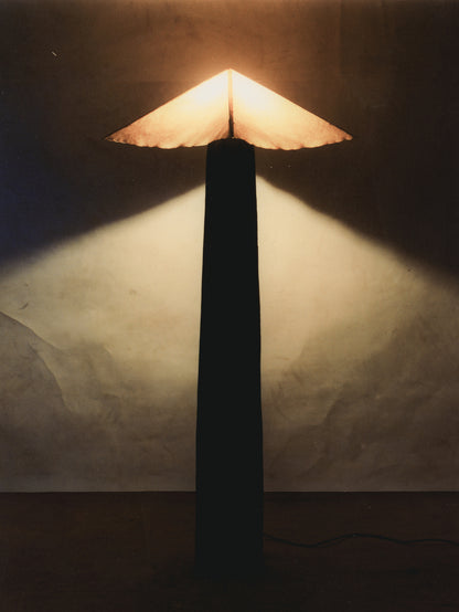 N V Floor Lamp Floor Lamps