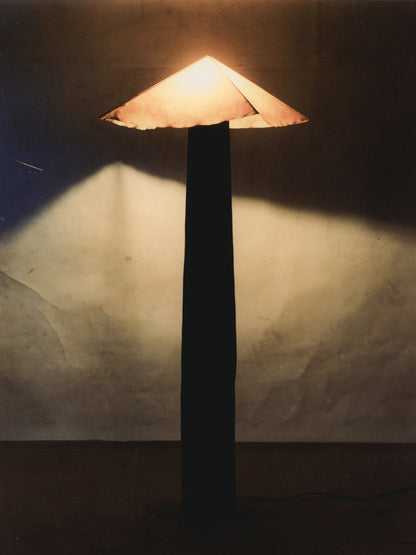 N V Floor Lamp Floor Lamps
