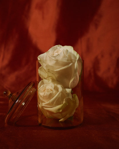 Noam Bonbonniere Glassware