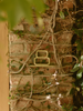 House Numbers by ORCA Outdoor Decor
