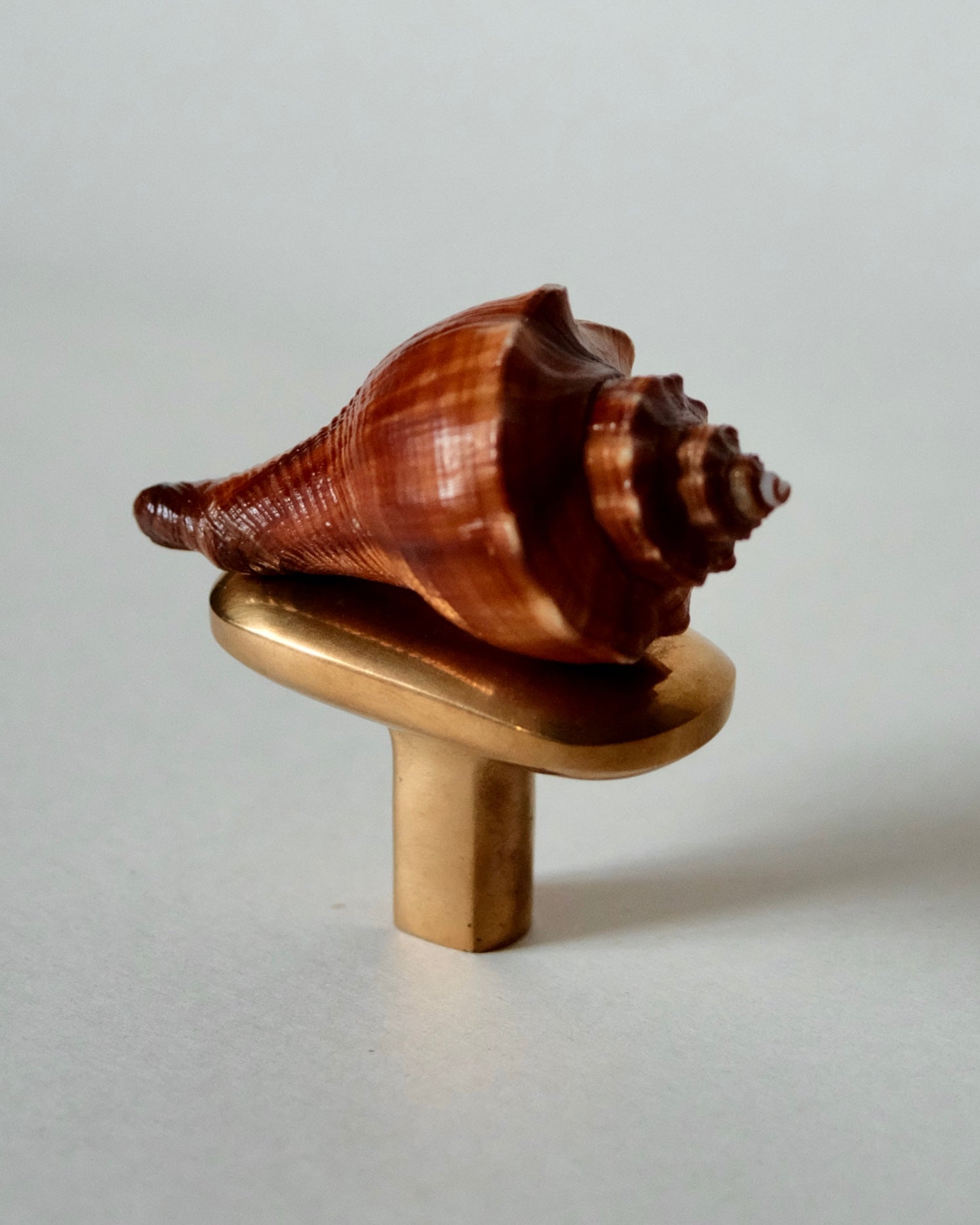 Oval Knob/Hook Hardware