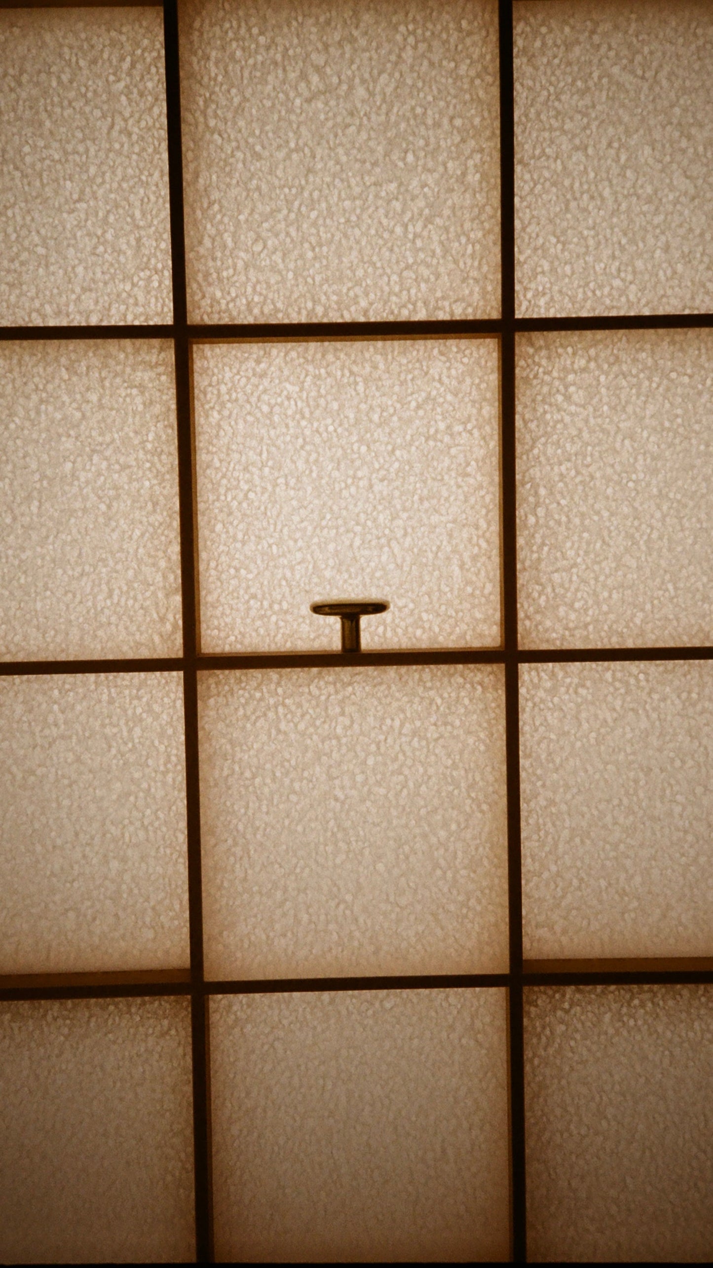 Oval Knob/Hook Hardware