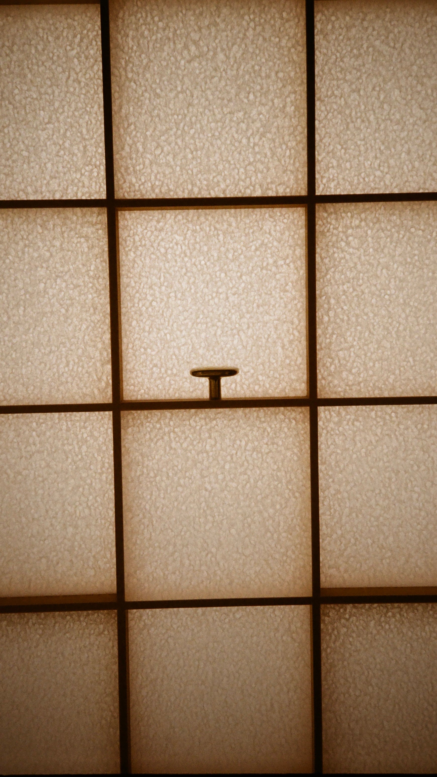 Oval Knob/Hook Hardware