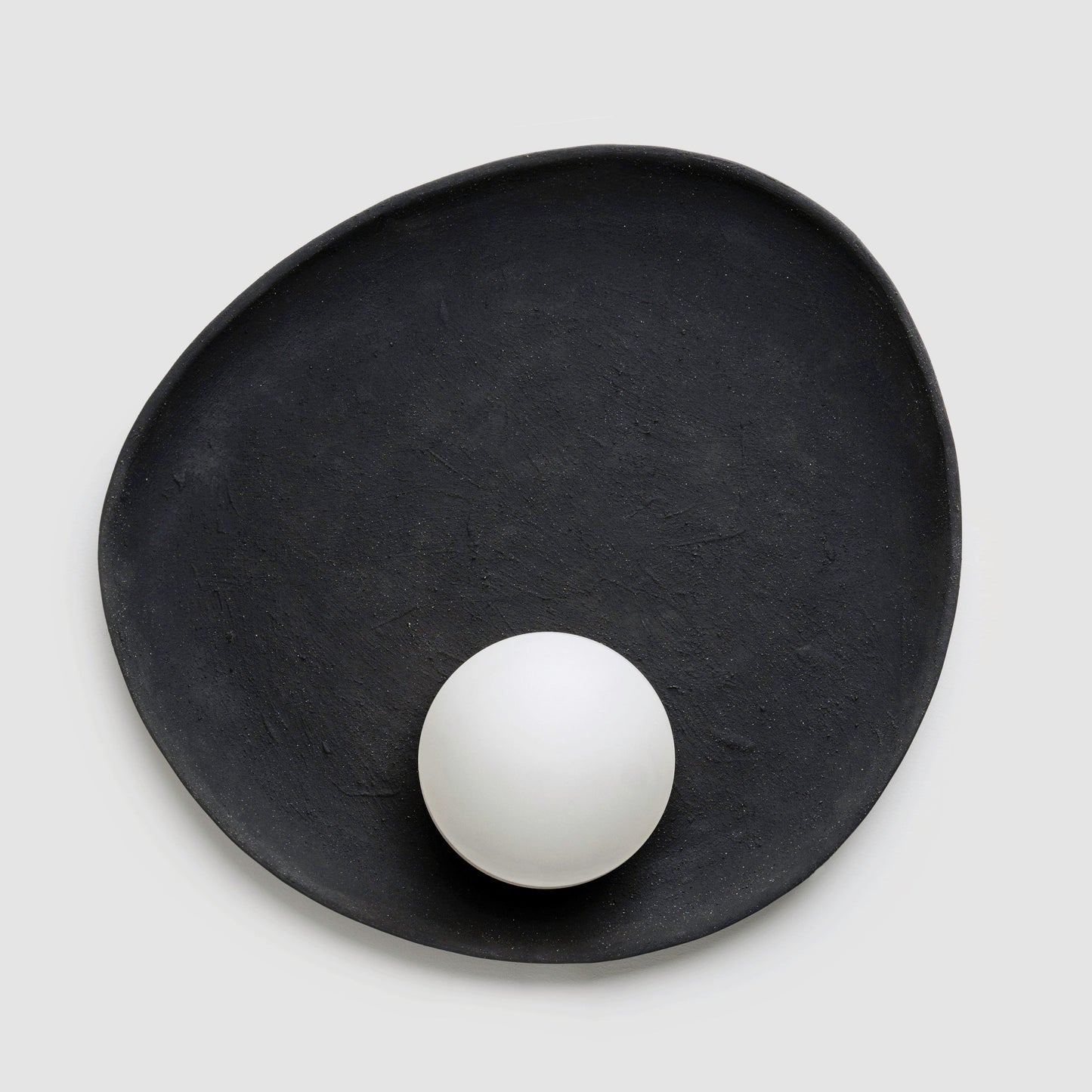 Oyster Wall Sconce Sconces