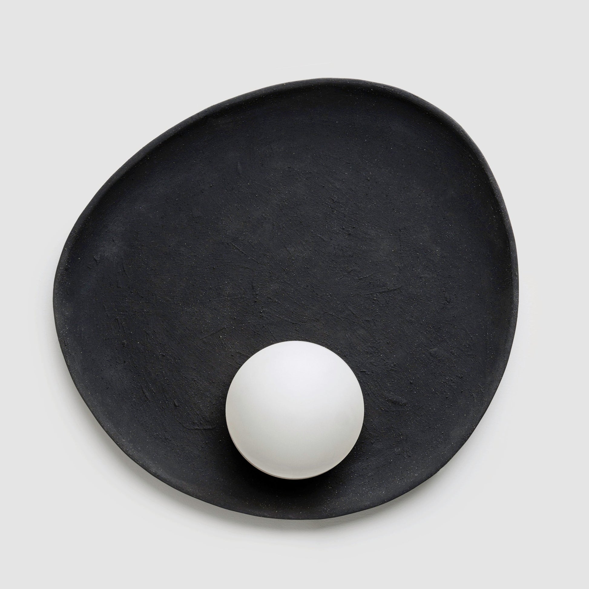 Oyster Wall Sconce Sconces