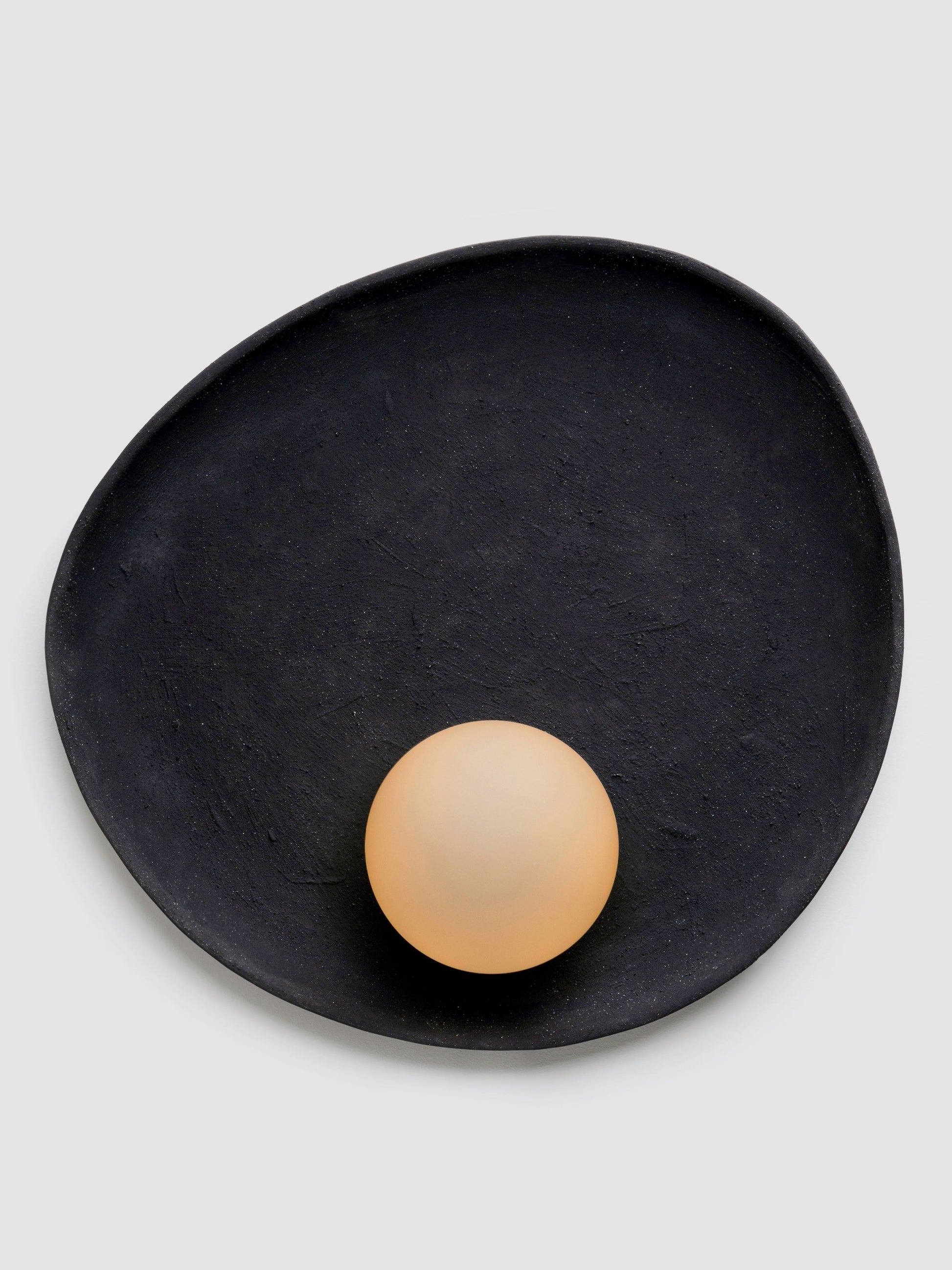 Oyster Wall Sconce Sconces