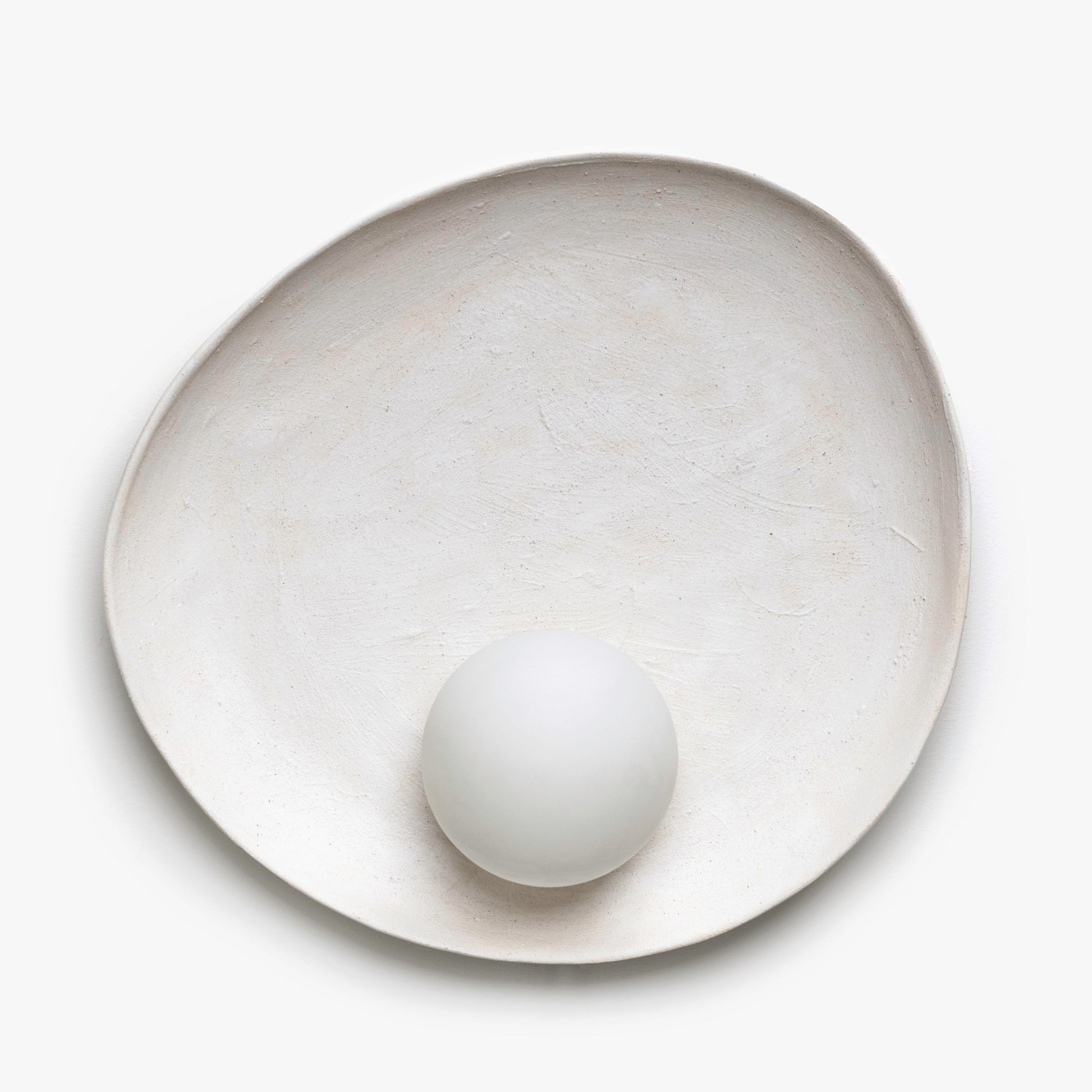 Oyster Wall Sconce Sconces