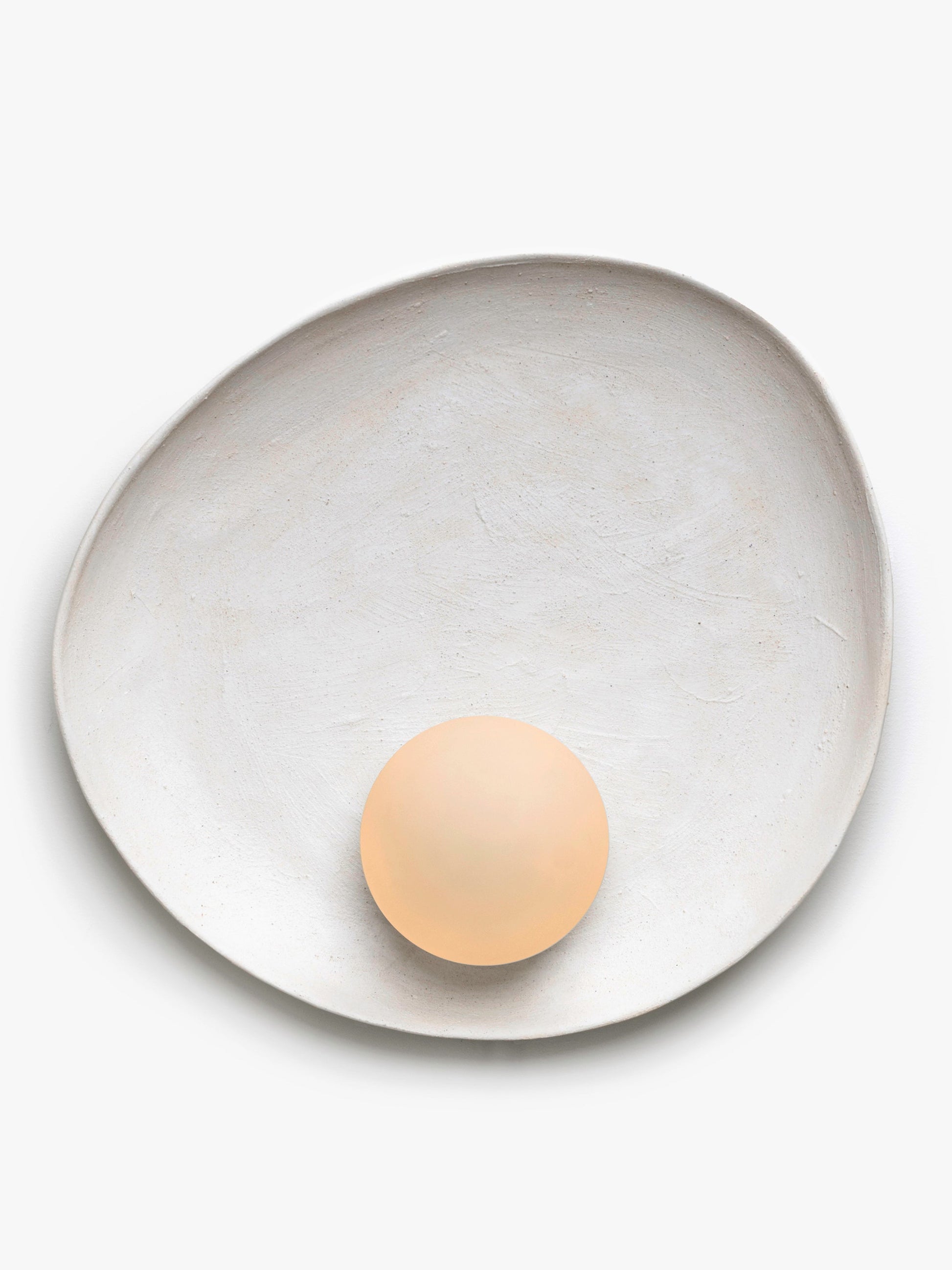 Oyster Wall Sconce Sconces