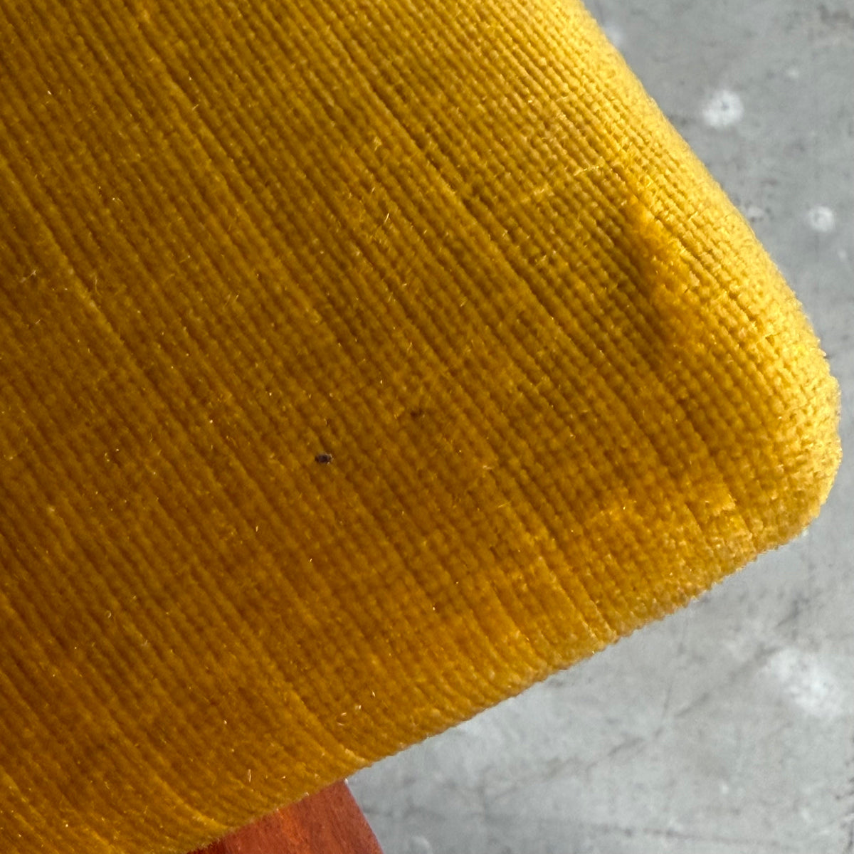 Pair of Armchairs by Franco Albini for Poggi, Original Velvet, 1960s Armchairs