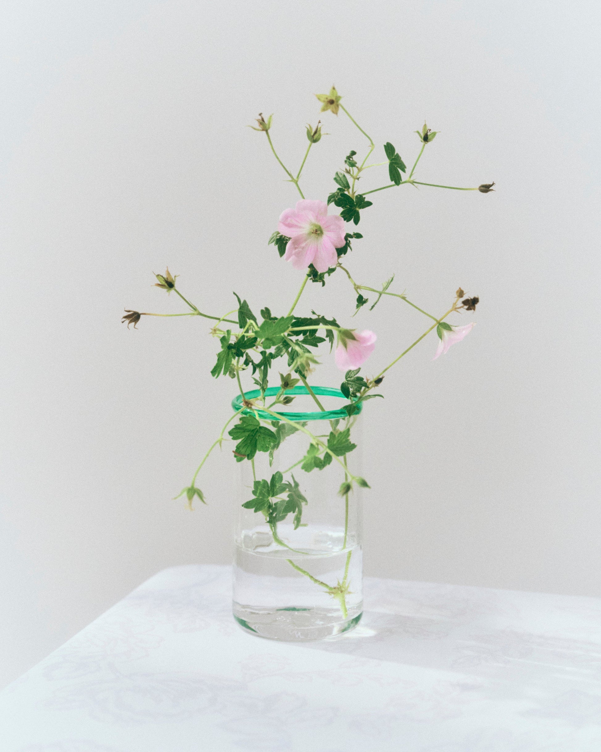 Peter Glass, Large Glassware