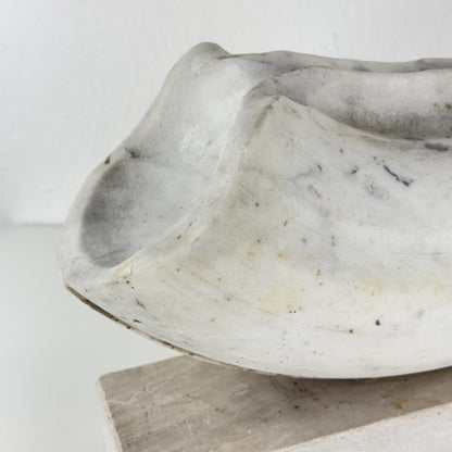 Biomorphic Sculpture in Carrara Marble by Pietro Cenedella, Italy, 1970s Sculptures