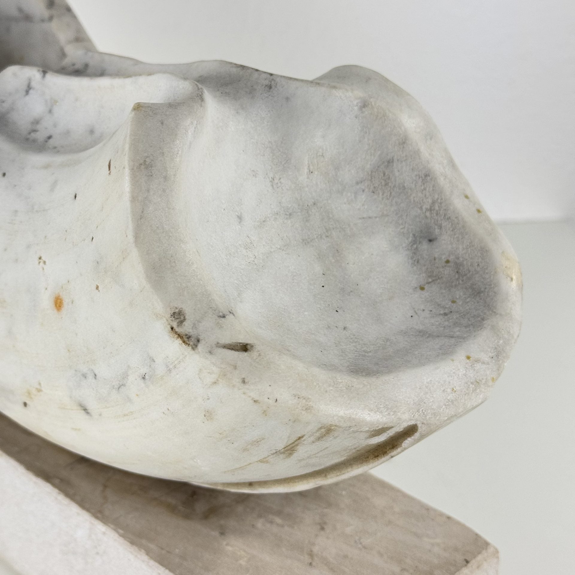 Biomorphic Sculpture in Carrara Marble by Pietro Cenedella, Italy, 1970s Sculptures