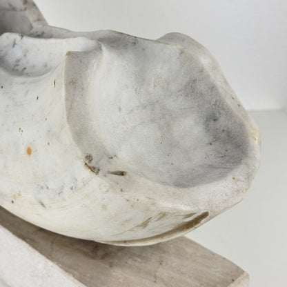 Biomorphic Sculpture in Carrara Marble by Pietro Cenedella, Italy, 1970s Sculptures