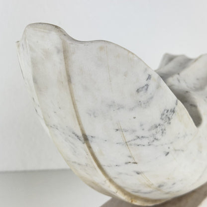 Biomorphic Sculpture in Carrara Marble by Pietro Cenedella, Italy, 1970s Sculptures