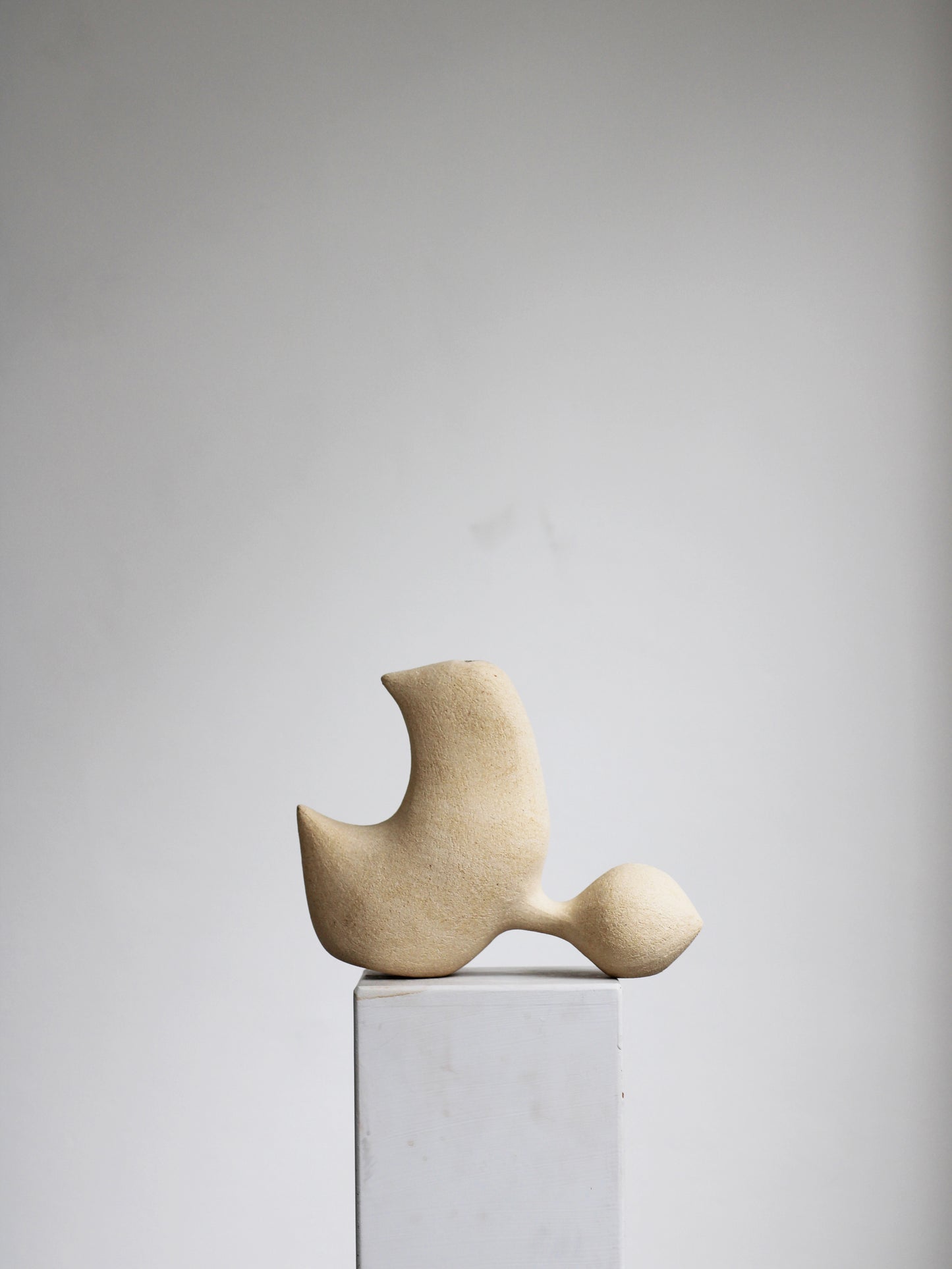 Pleomorph (2nd Gen.) 2 Vase Vases