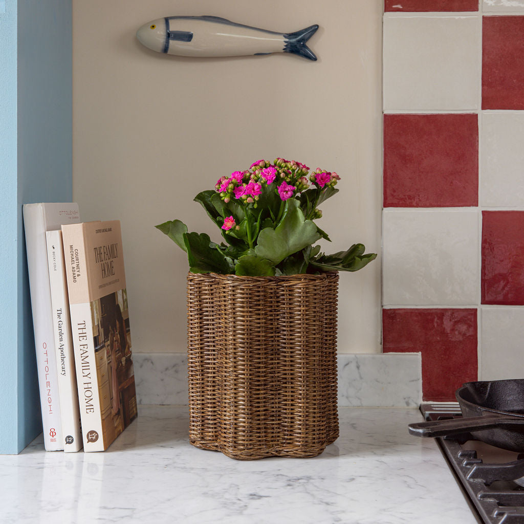 Poppy Rattan Pencil Holder & Vase Vases