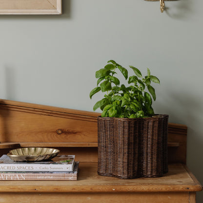 Poppy Rattan Waste Paper Bin, Small Wastebin