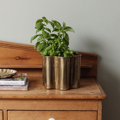 Poppy Rattan Waste Paper Bin, Small Wastebin