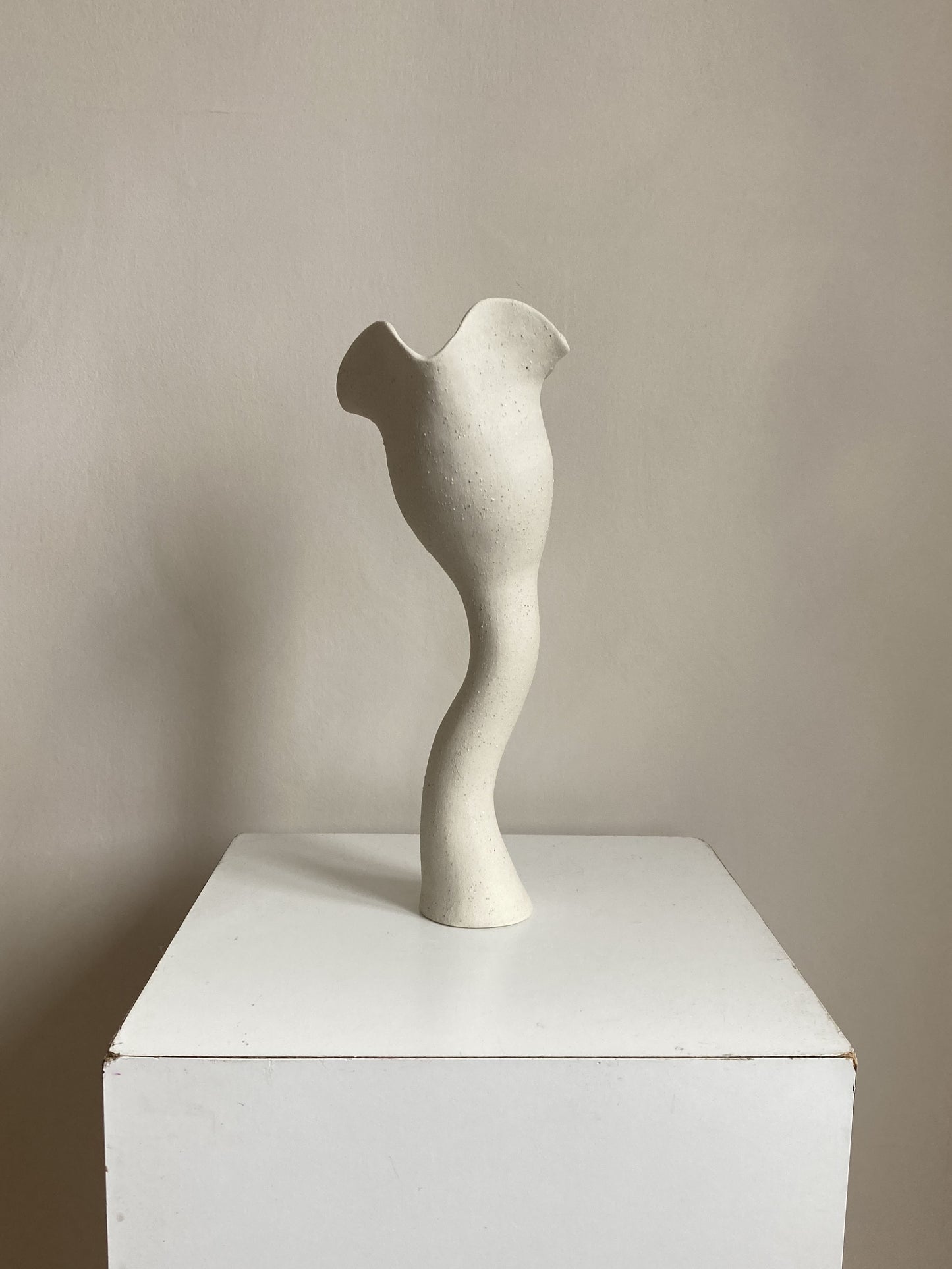 Sculptural Vessel #1 Vases