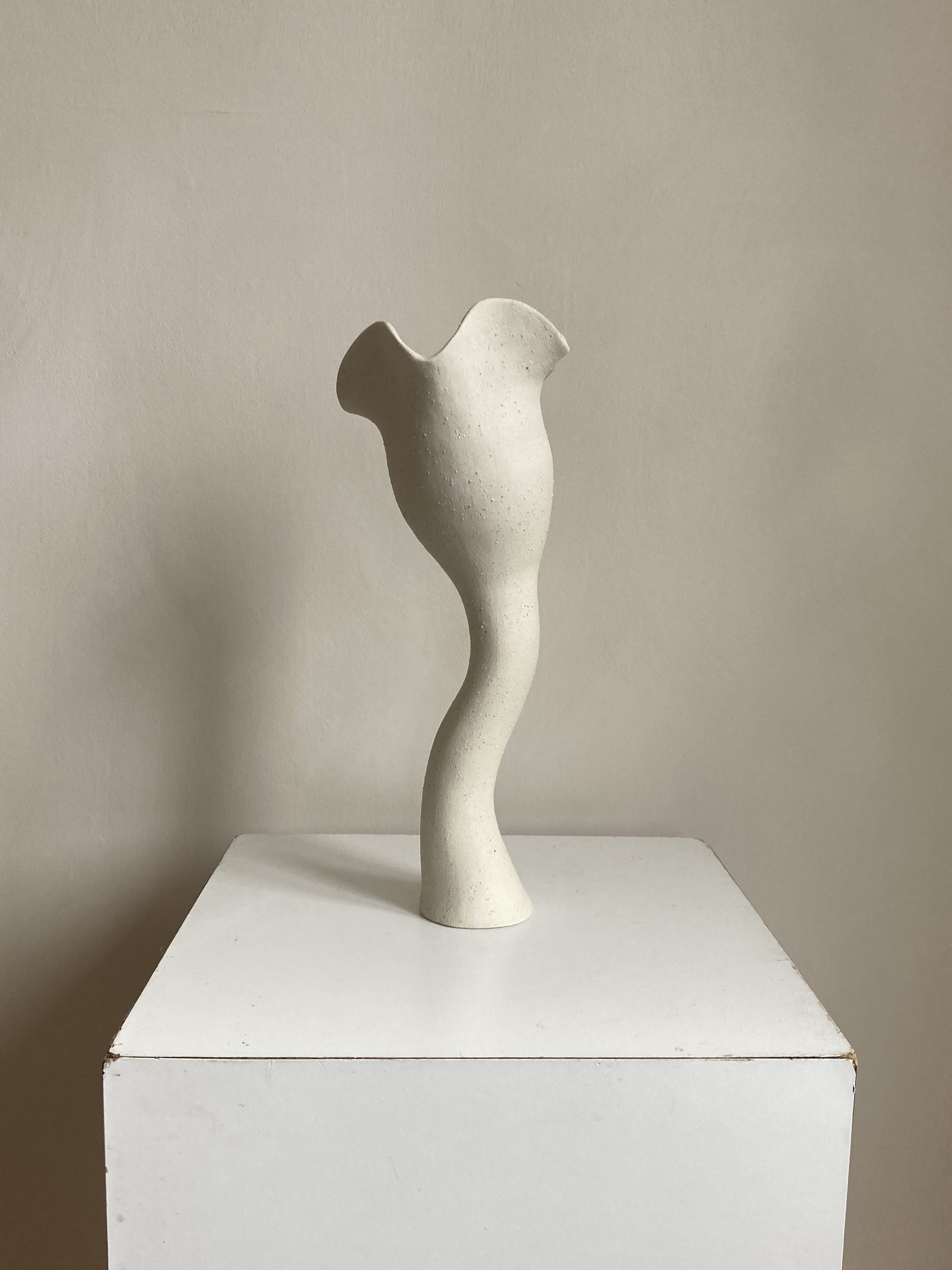 Sculptural Vessel #1 Vases