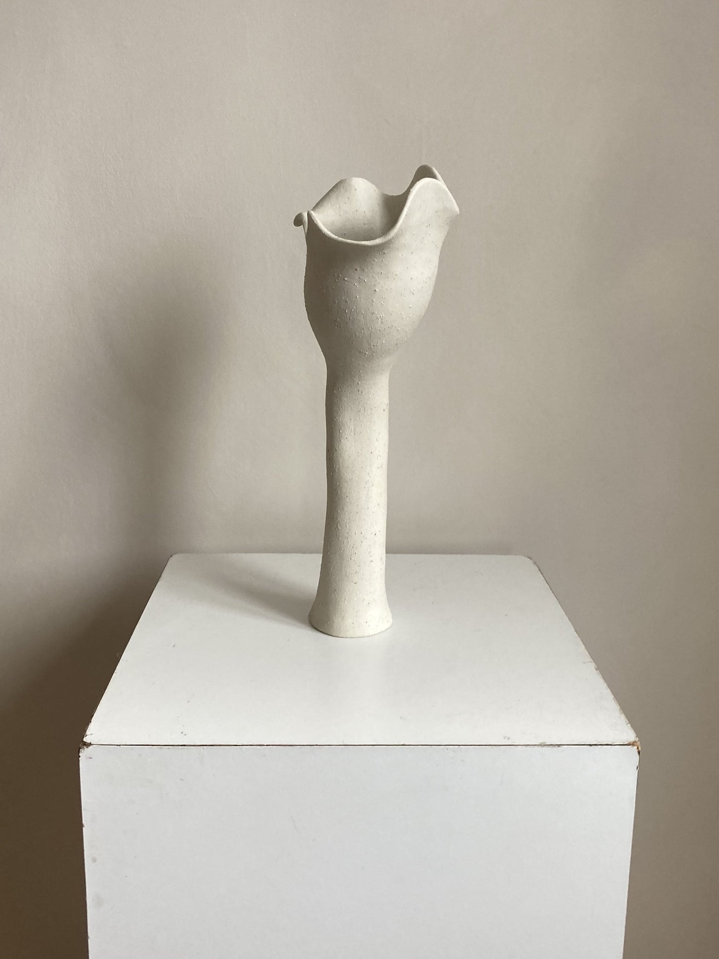 Sculptural Vessel #1 Vases