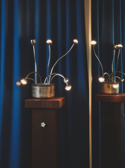 Seven Flowers and a Stand Floor Lamps