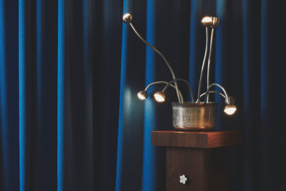 Seven Flowers and a Stand Floor Lamps