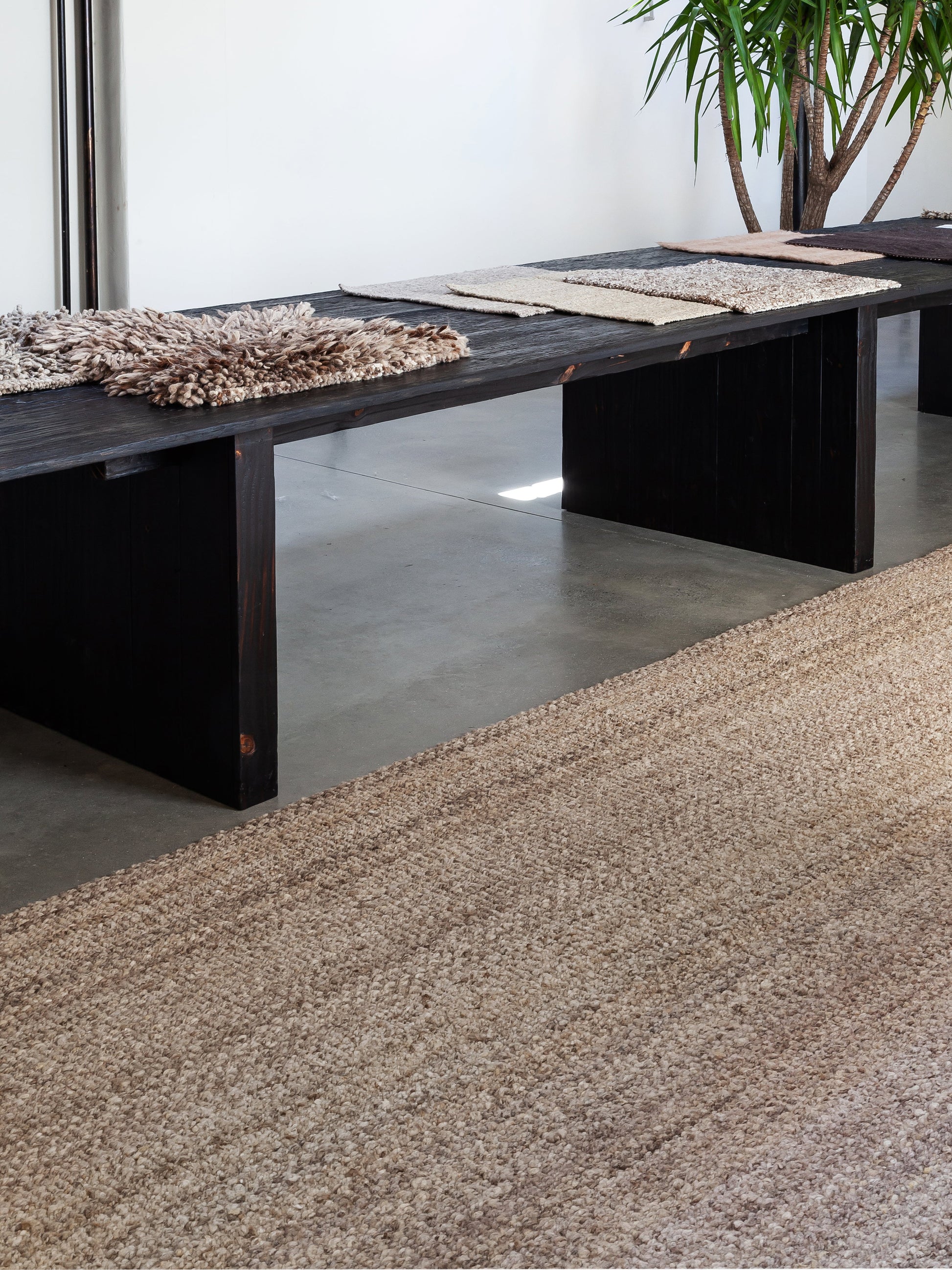 Siena Rug in Medium Texture Rugs