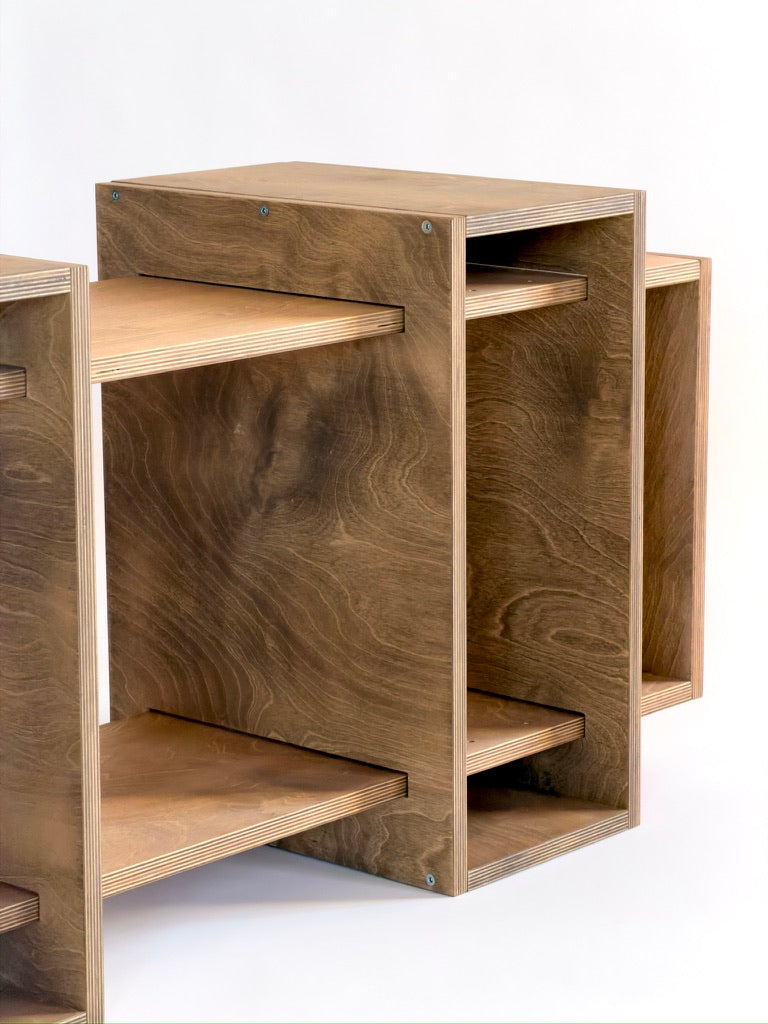 Solido Coffee Table/Bookshelf