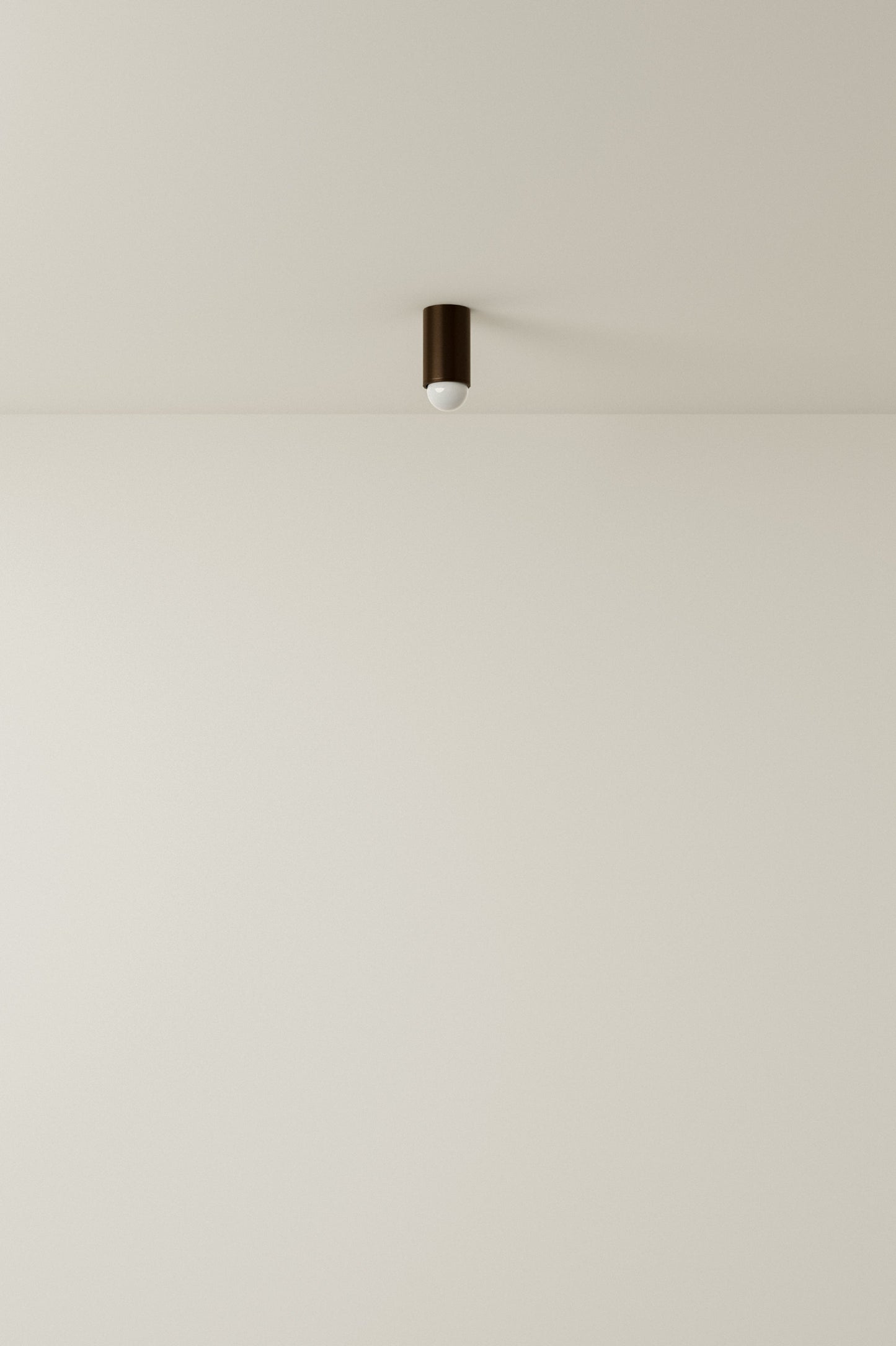 Spot Ceiling 01 Pendant Lights