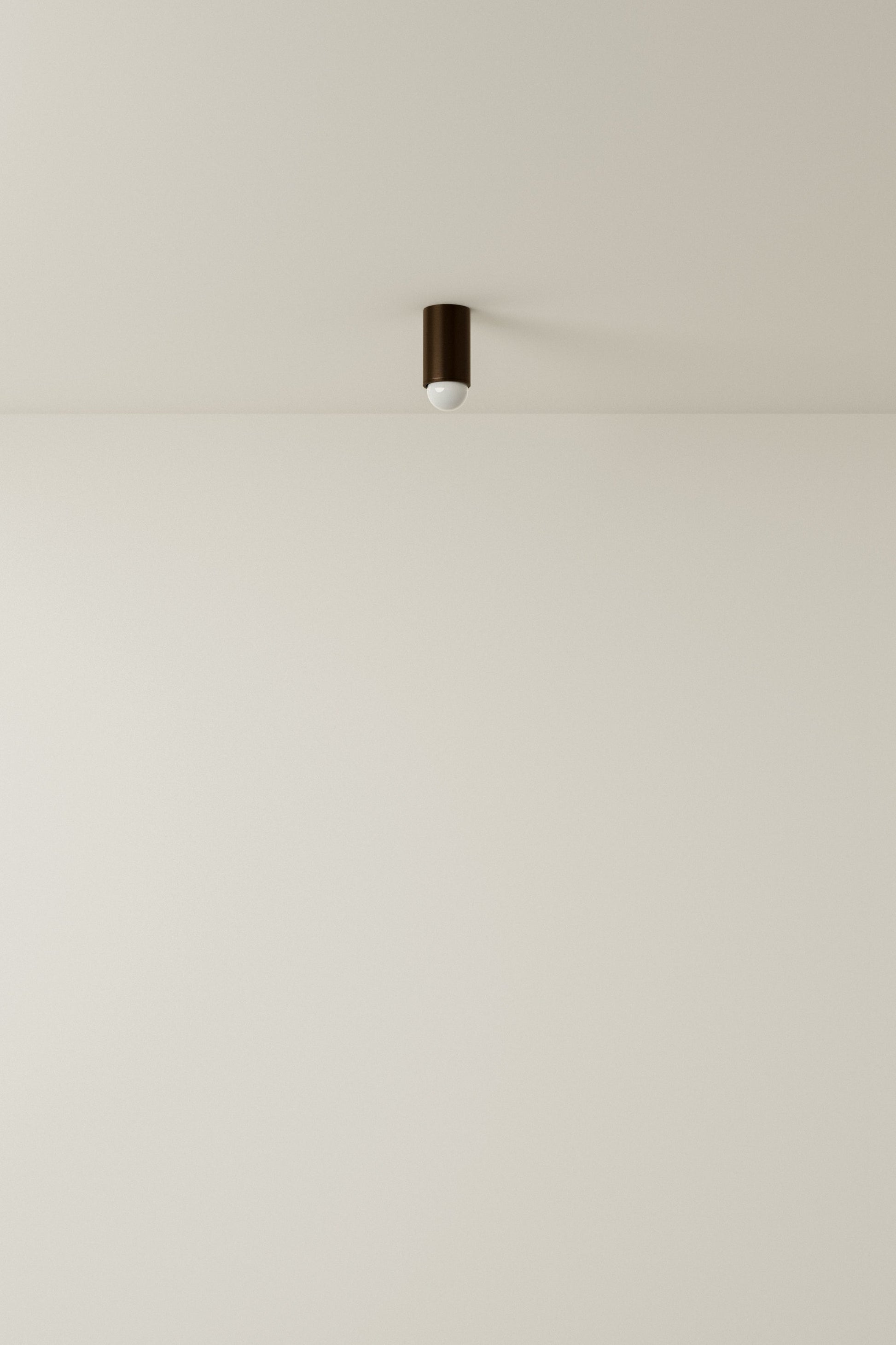 Spot Ceiling 01 Pendant Lights