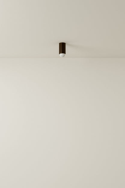 Spot Ceiling 01 Pendant Lights