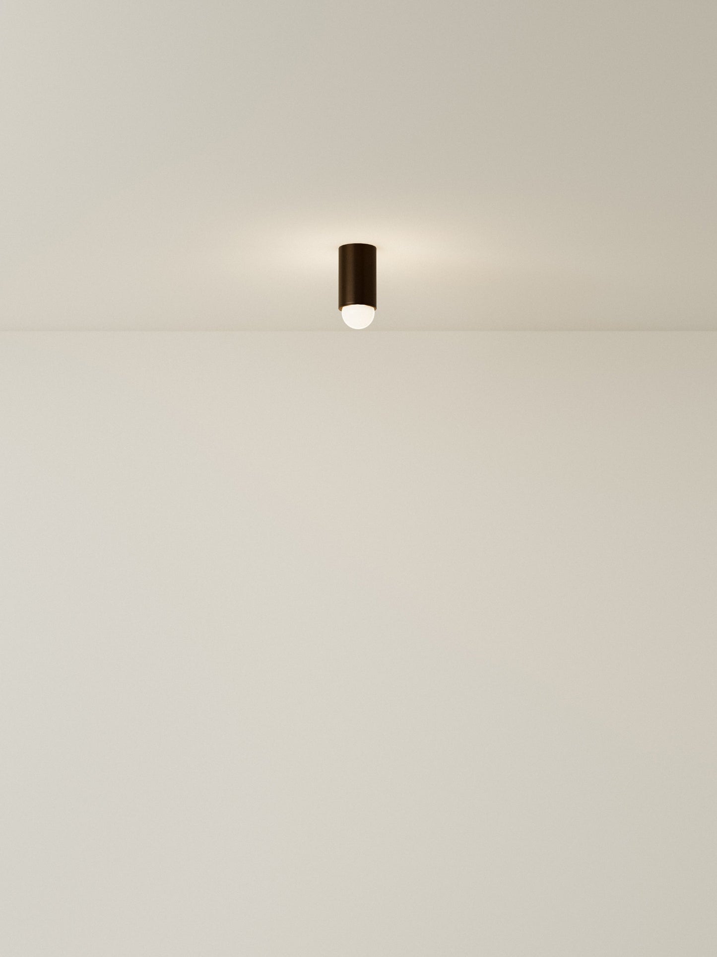 Spot Ceiling 01 Pendant Lights