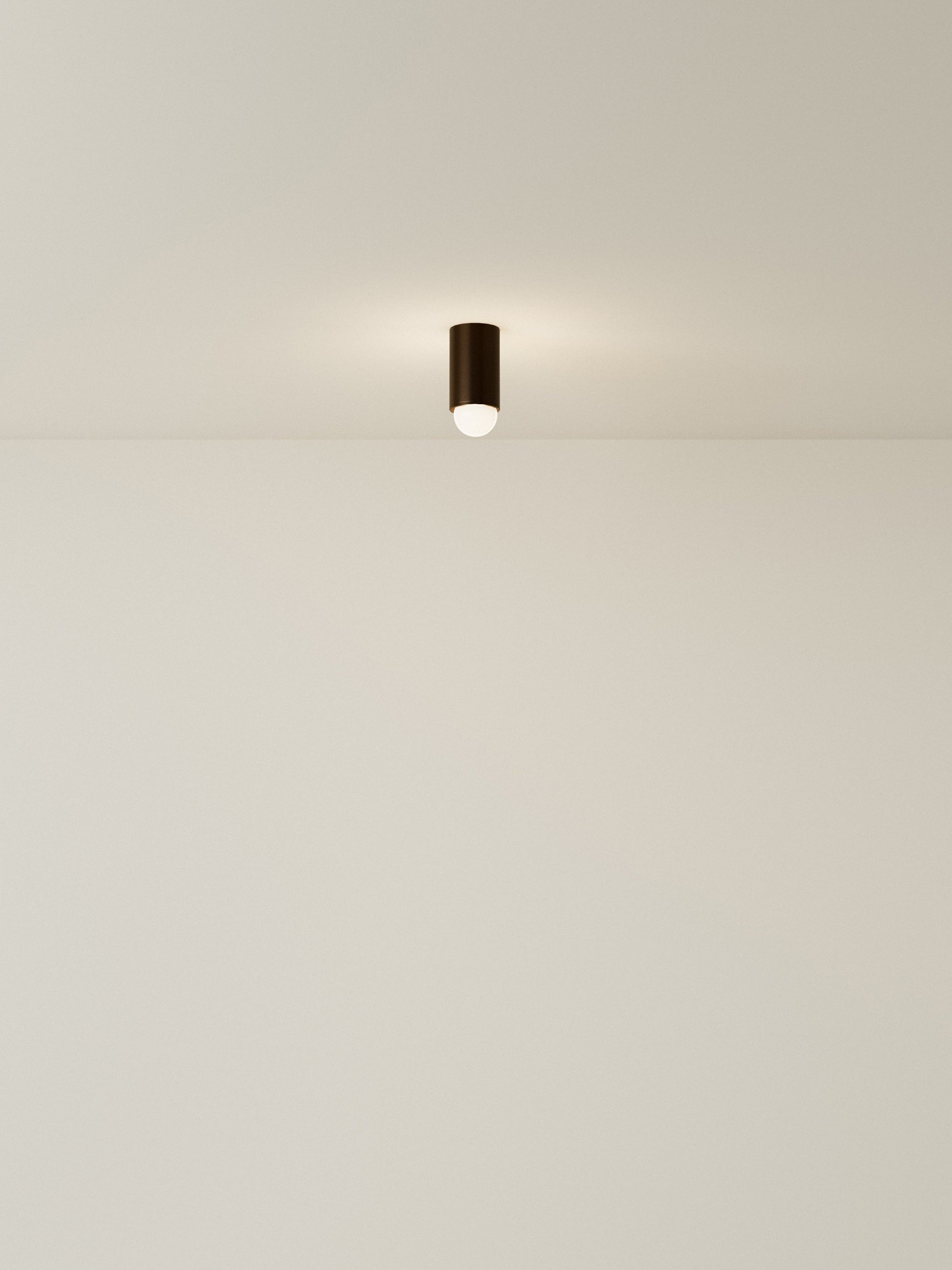 Spot Ceiling 01 Pendant Lights