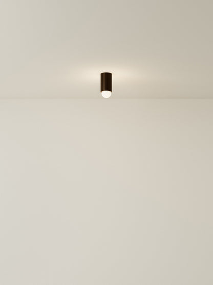 Spot Ceiling 01 Pendant Lights