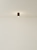 Spot Ceiling 01 Pendant Lights