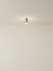 Spot Ceiling 01 Pendant Lights