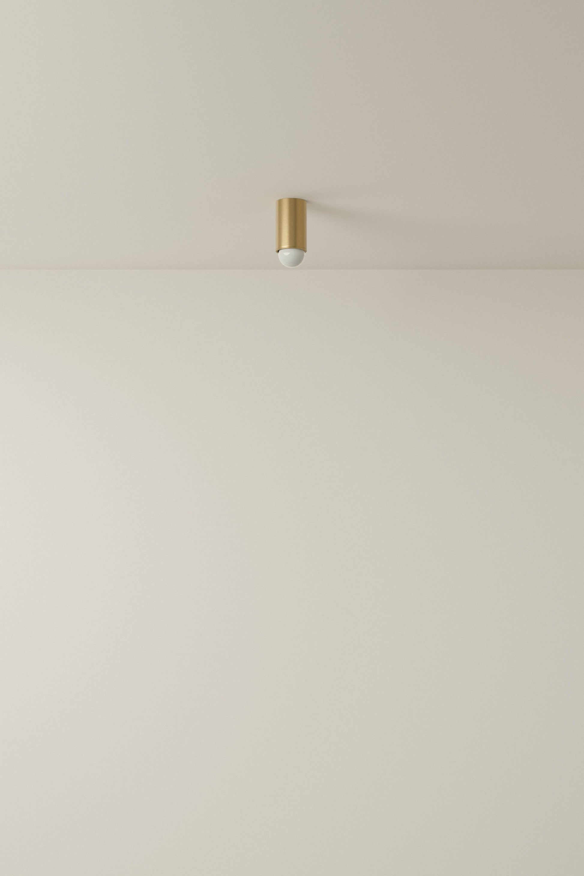 Spot Ceiling 01 Pendant Lights