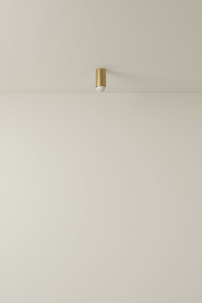 Spot Ceiling 01 Pendant Lights