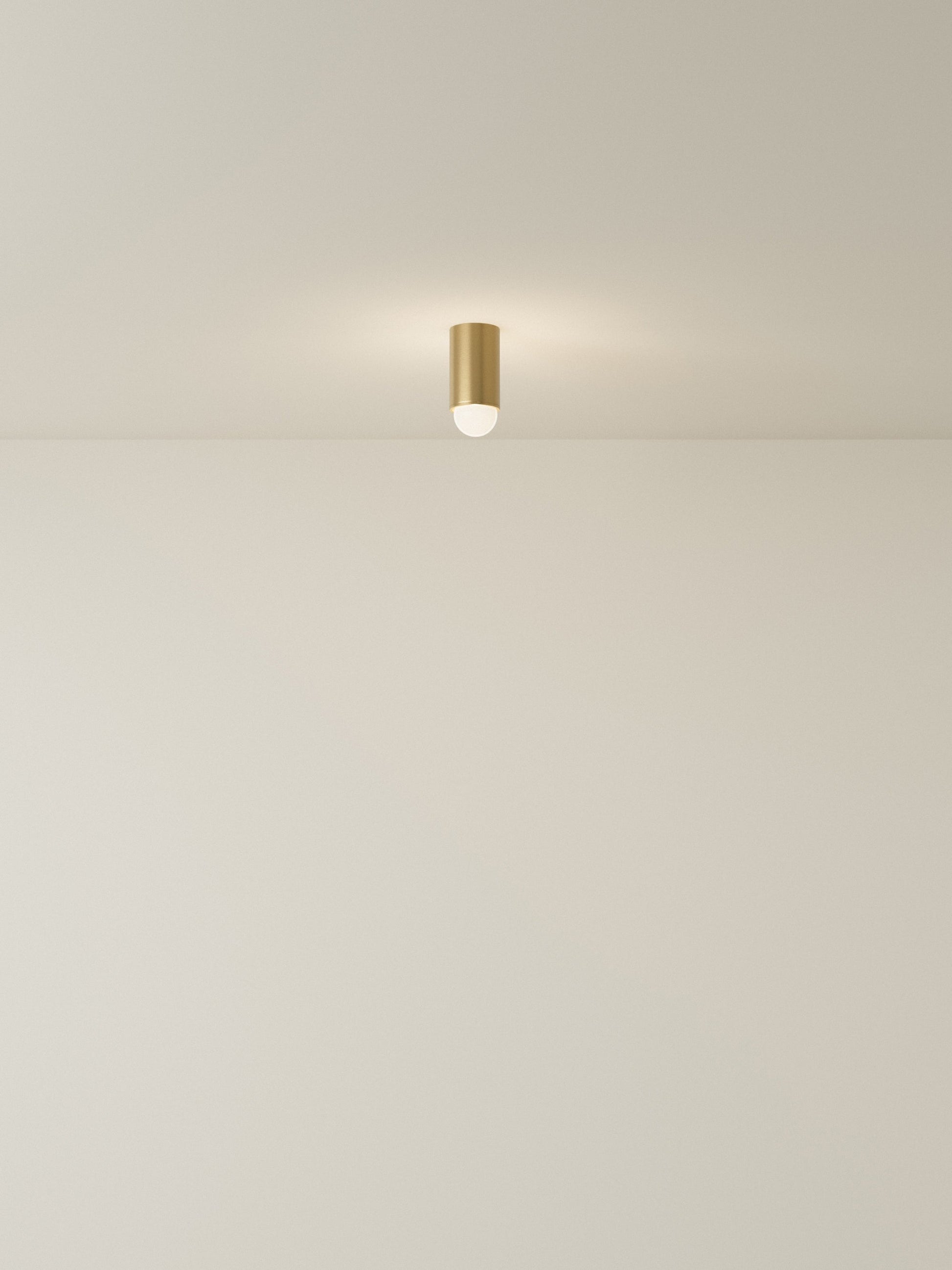 Spot Ceiling 01 Pendant Lights