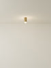 Spot Ceiling 01 Pendant Lights