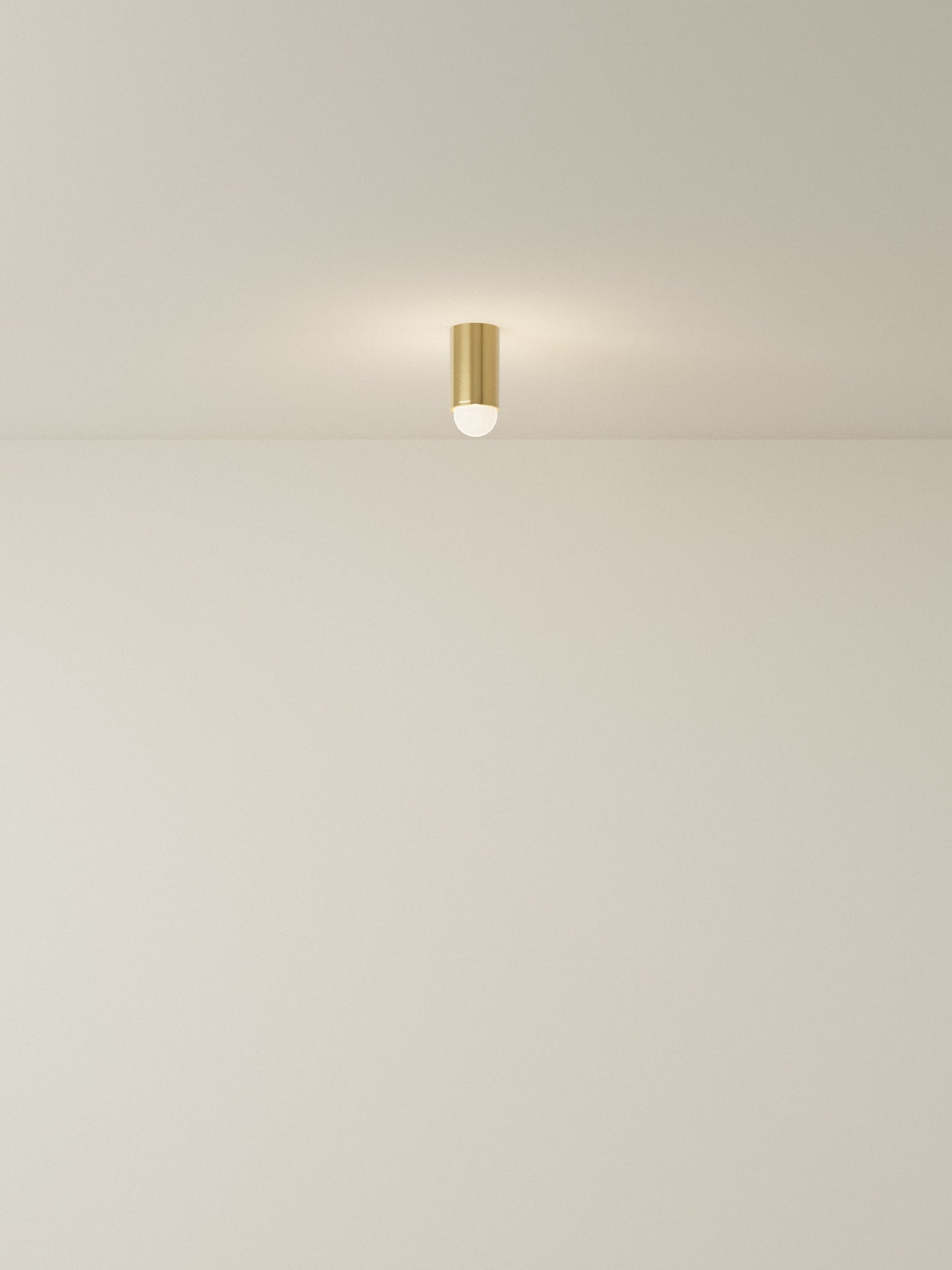 Spot Ceiling 01 Pendant Lights