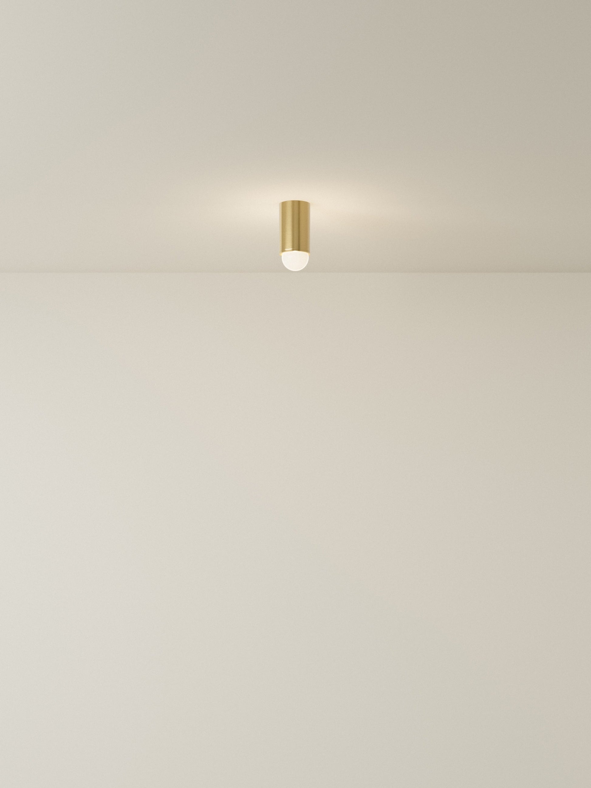 Spot Ceiling 01 Pendant Lights